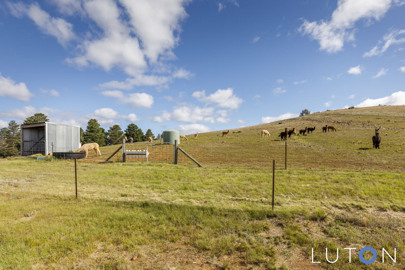 320 Micalago Road, Michelago NSW 2620, Image 1