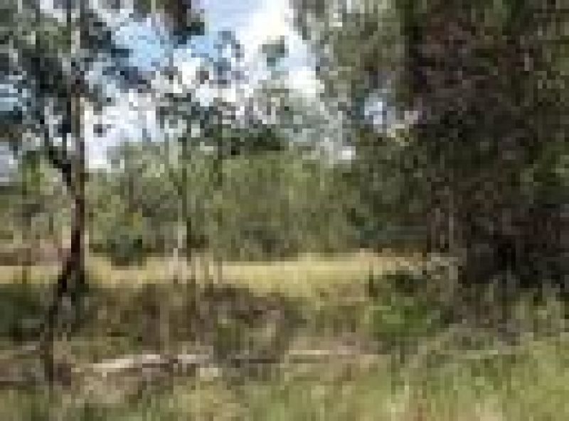 L44 Copper Creek Road, Pimpimbudgee QLD 4615, Image 2