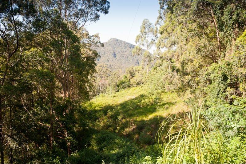 2234 Comboyne Road, Killabakh NSW 2429, Image 0