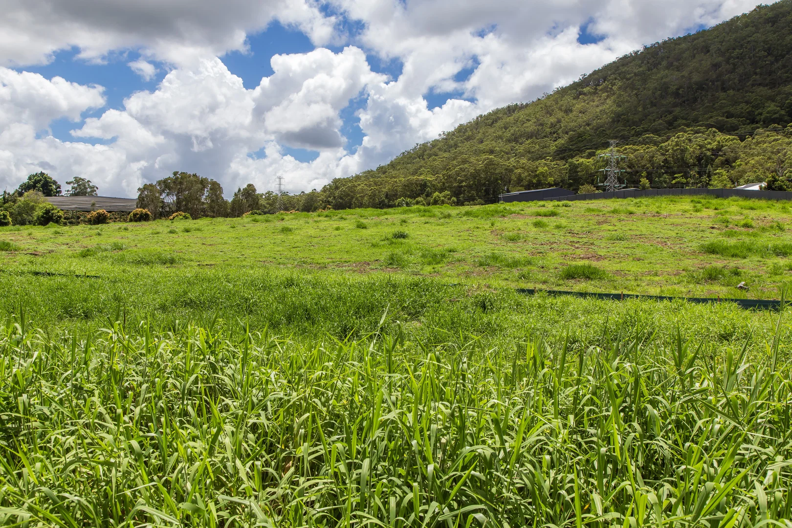 Additional image 9 of 13 Lindeman Road, Beerwah QLD 4519