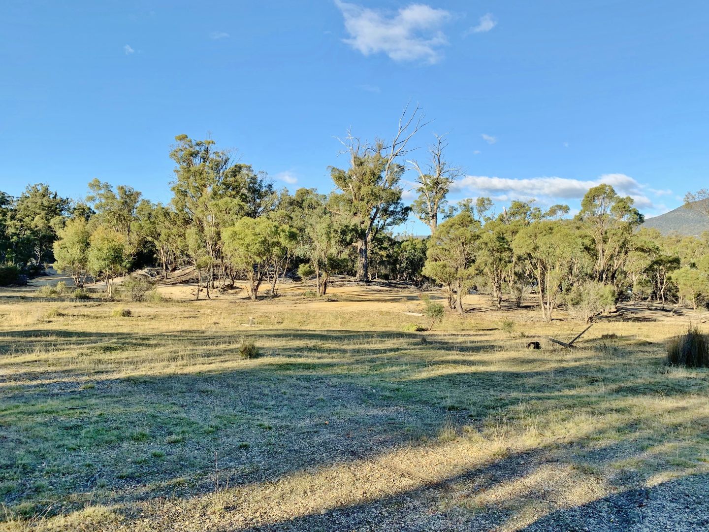 Lot 1 Leona Rd, Avoca TAS 7213, Image 1