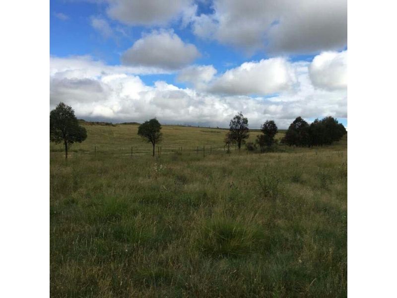 Lot 3 Barney Downs Road, Tenterfield NSW 2372, Image 0