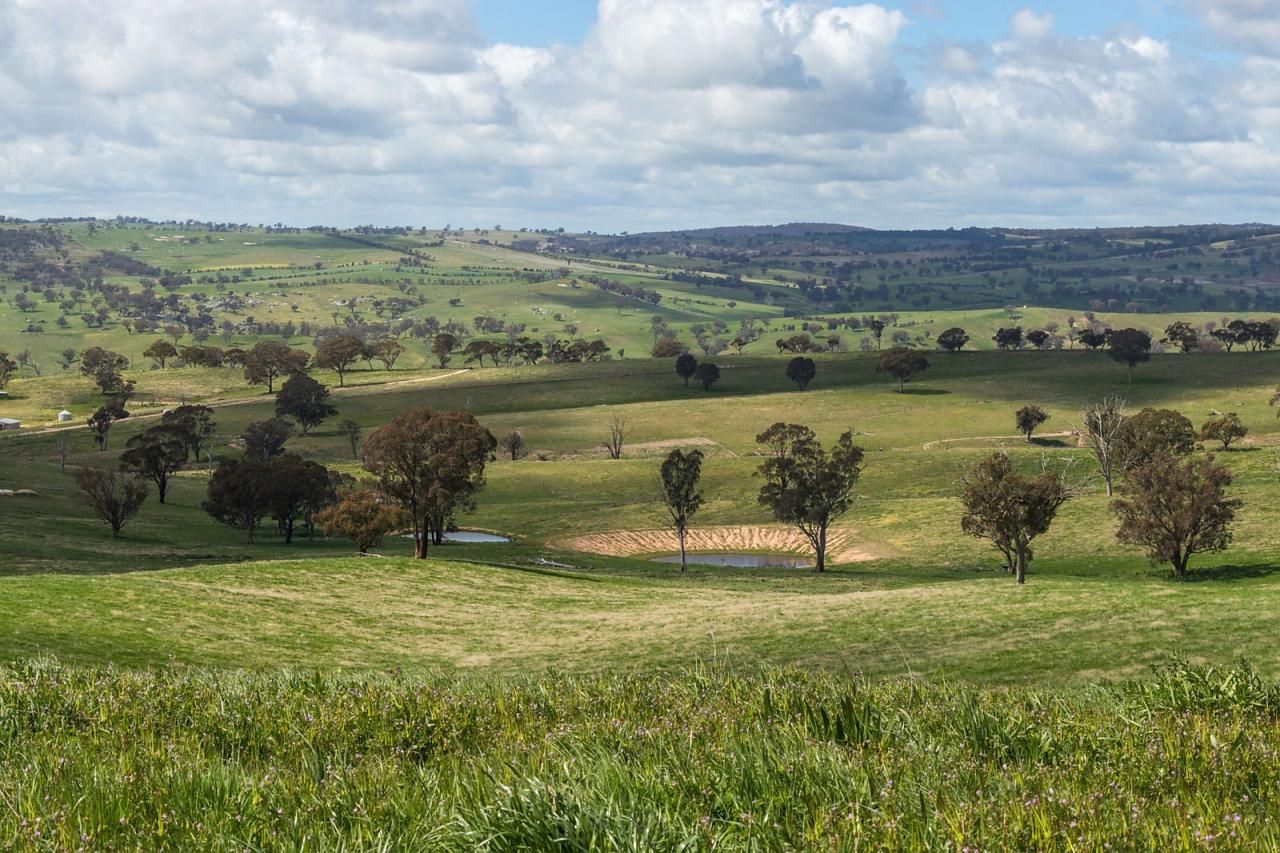 486 Martin Bird Lane, Bathurst NSW 2795, Image 0