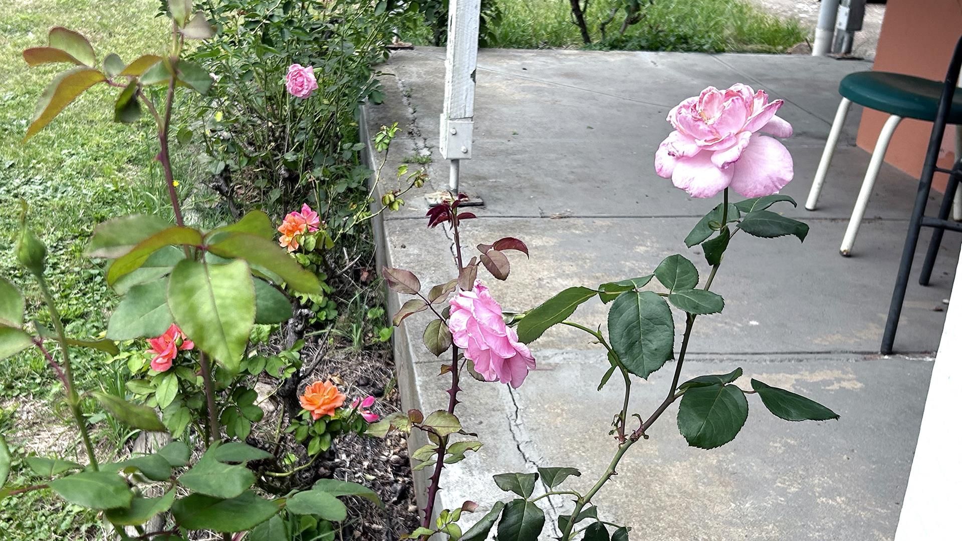 650 Pomeroy Road, Pomeroy NSW 2580 House for Sale Domain