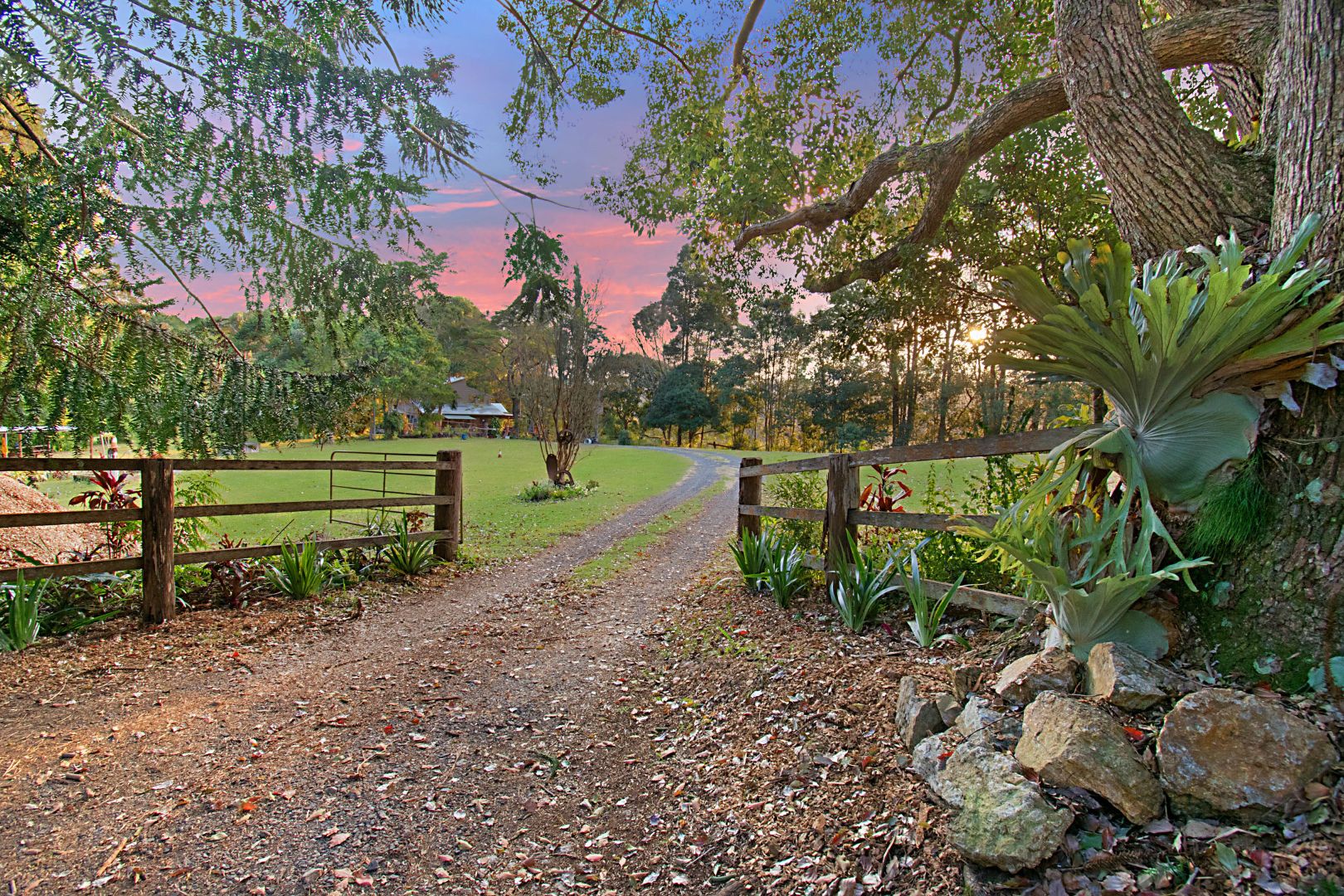 425 Friday Hut Road, Possum Creek Property History & Address Research