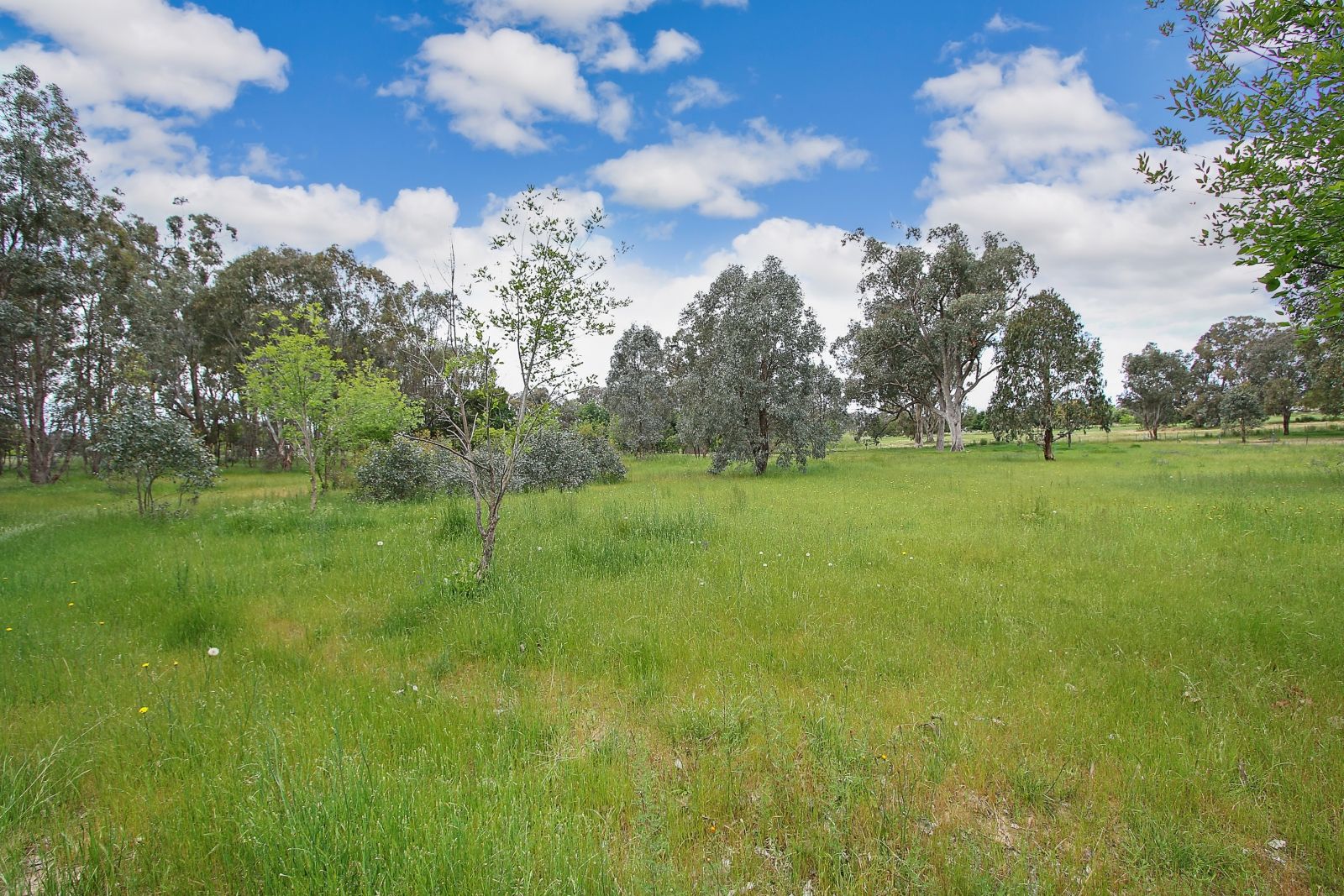 121 Thomas Street, Gerogery NSW 2642, Image 1