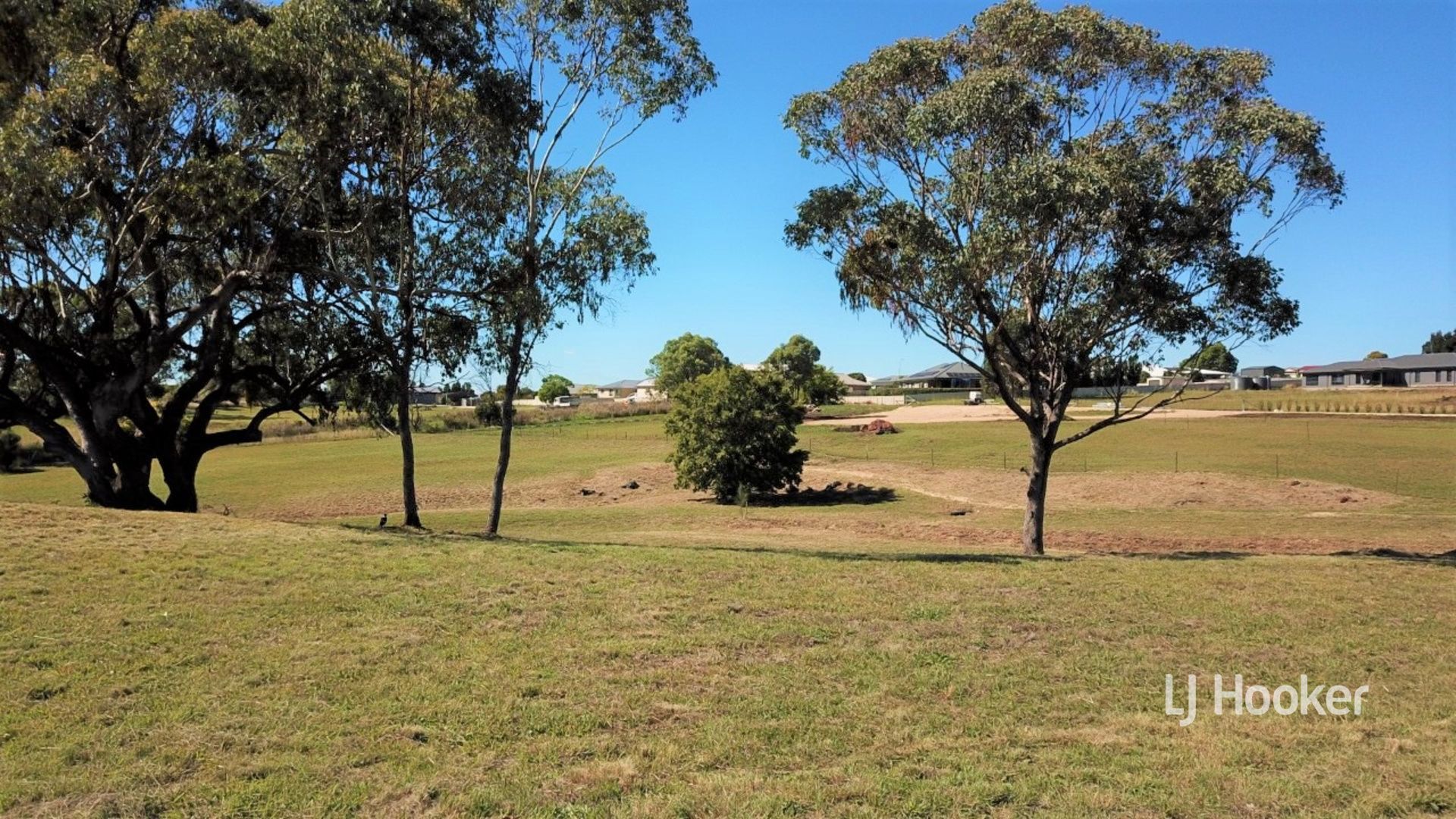 15 Oakland Lane, Inverell NSW 2360 Vacant Land for Sale Domain