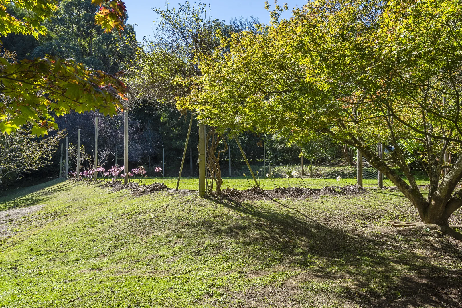 Additional image 29 of 165 Zig Zag Road, Mount Macedon VIC 3441