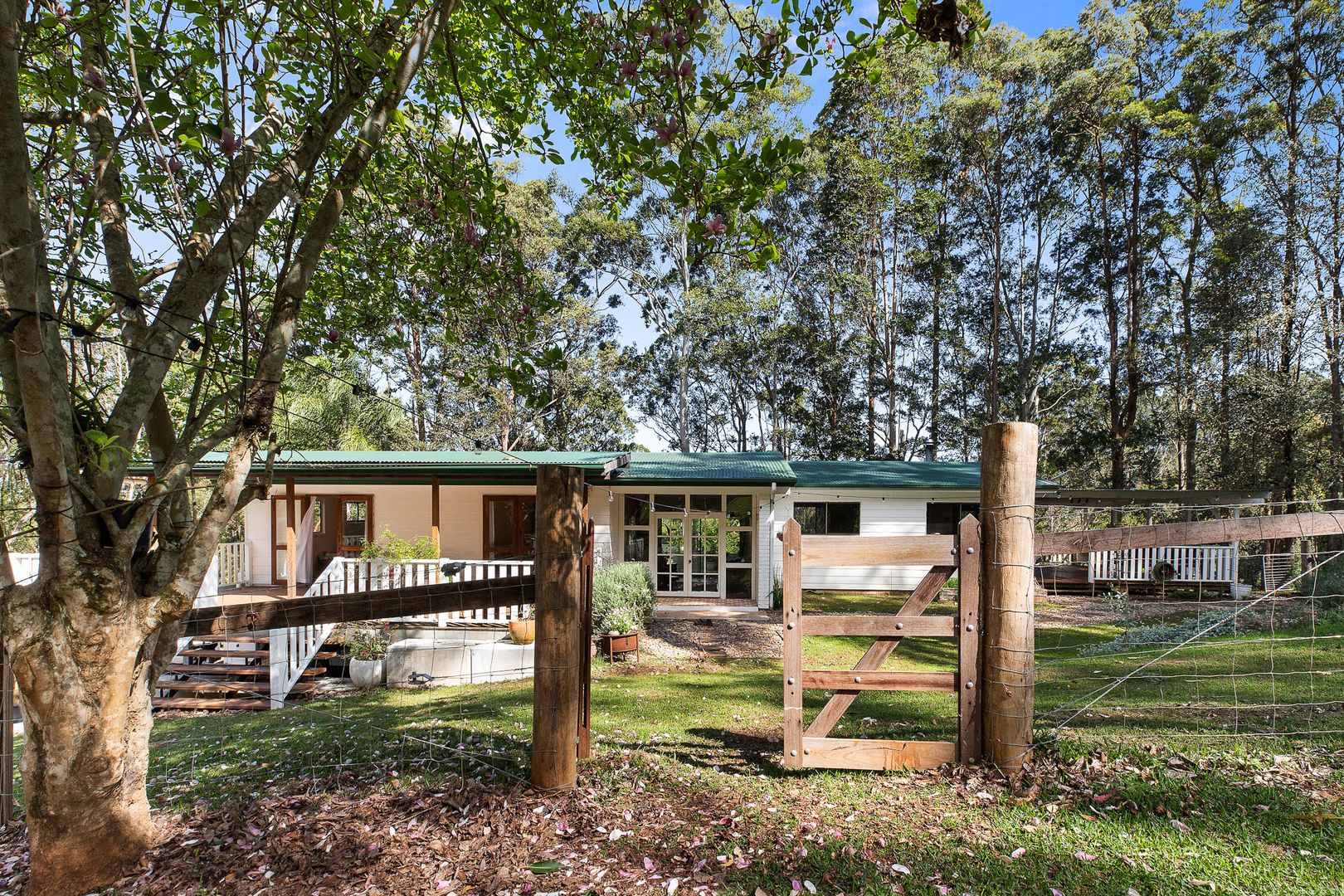 509 Rosebank Road, Rosebank NSW 2480 House for Sale Domain