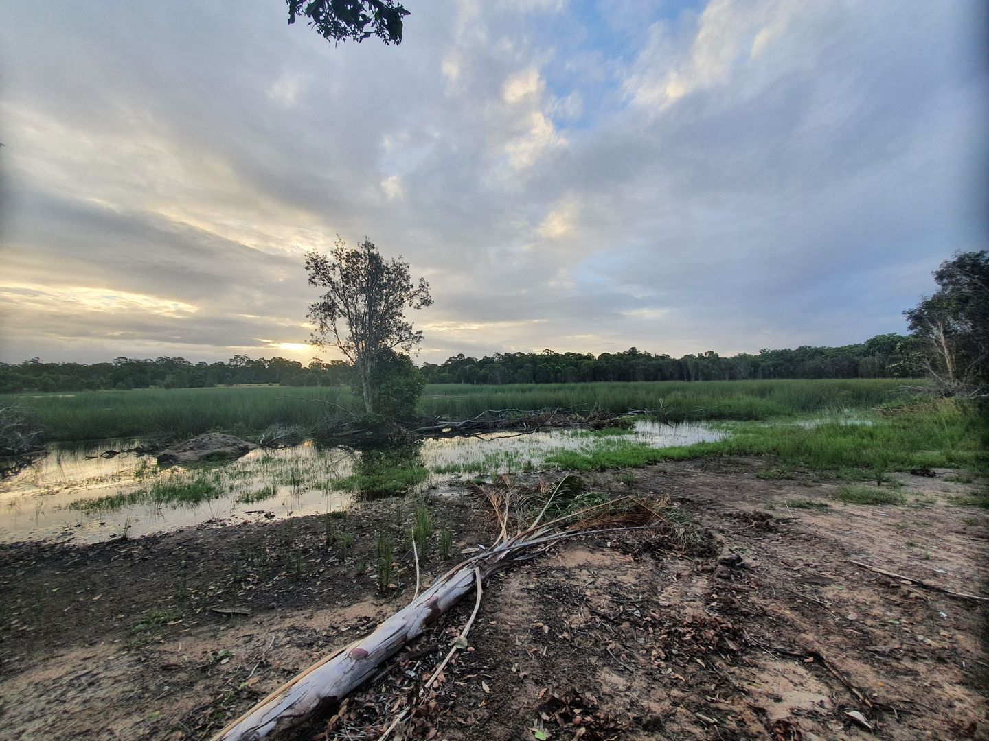 1415 Coast, Baffle Creek QLD 4674 House for Sale 520,000