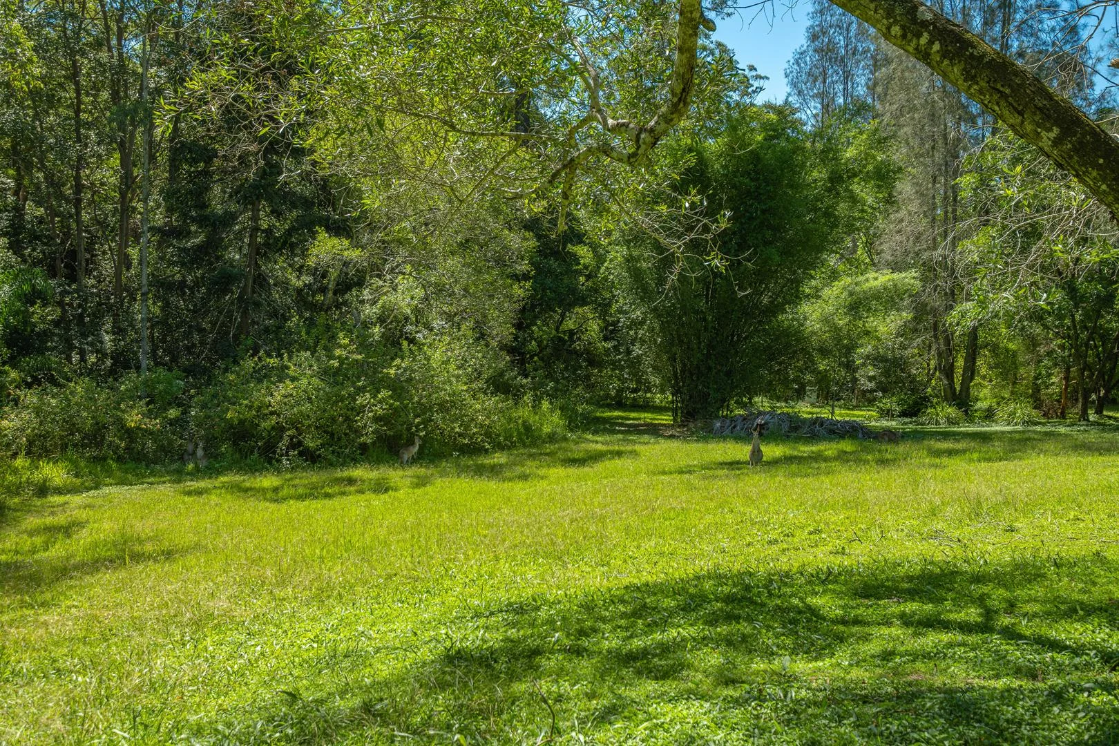 Additional image 21 of Conondale QLD 4552