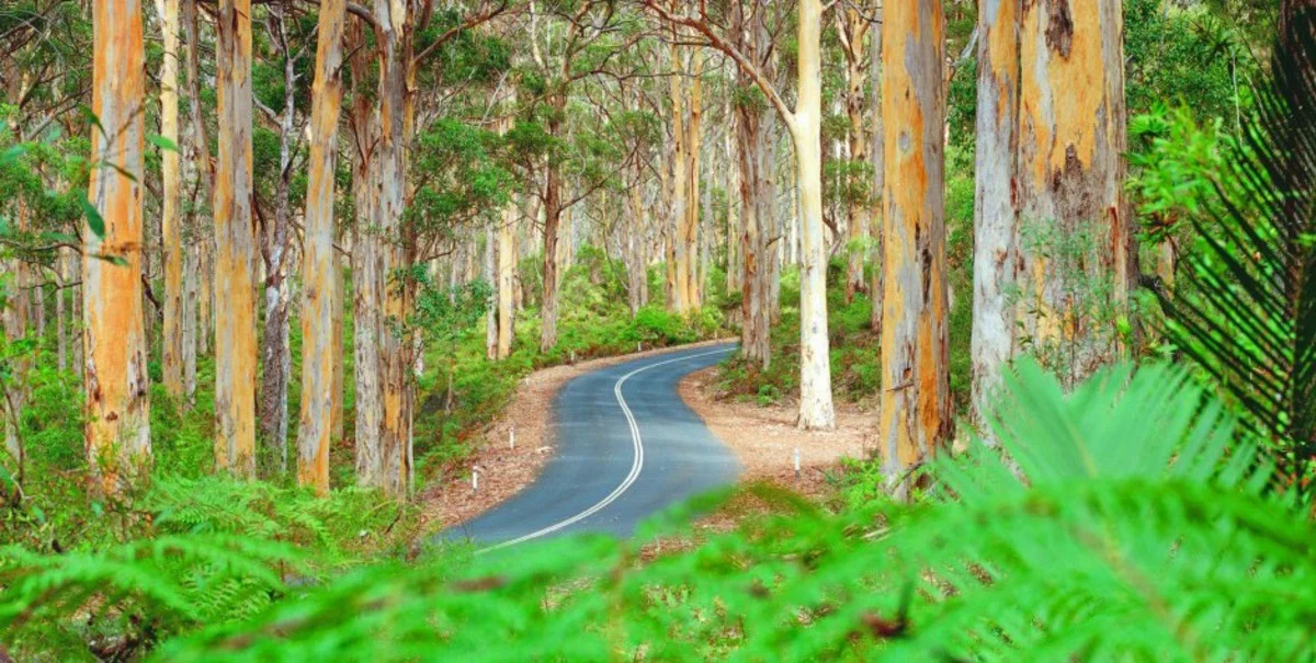 Additional image 3 of 5 Kaeding Entrance, Kudardup WA 6290