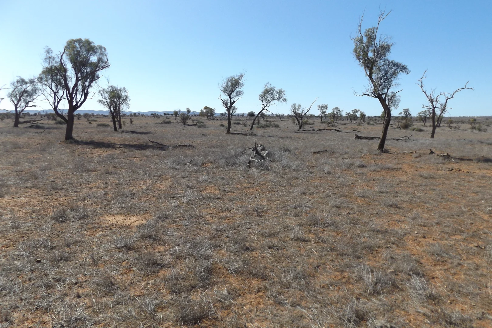 Image 10