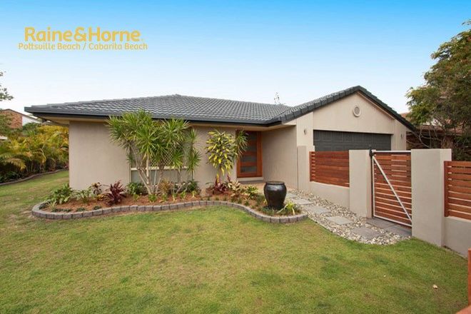 Picture of 26 Tallowood Avenue, CABARITA BEACH NSW 2488