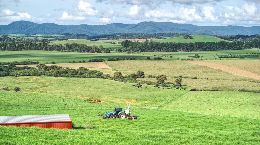 Dorrigo NSW 2453, Image 0