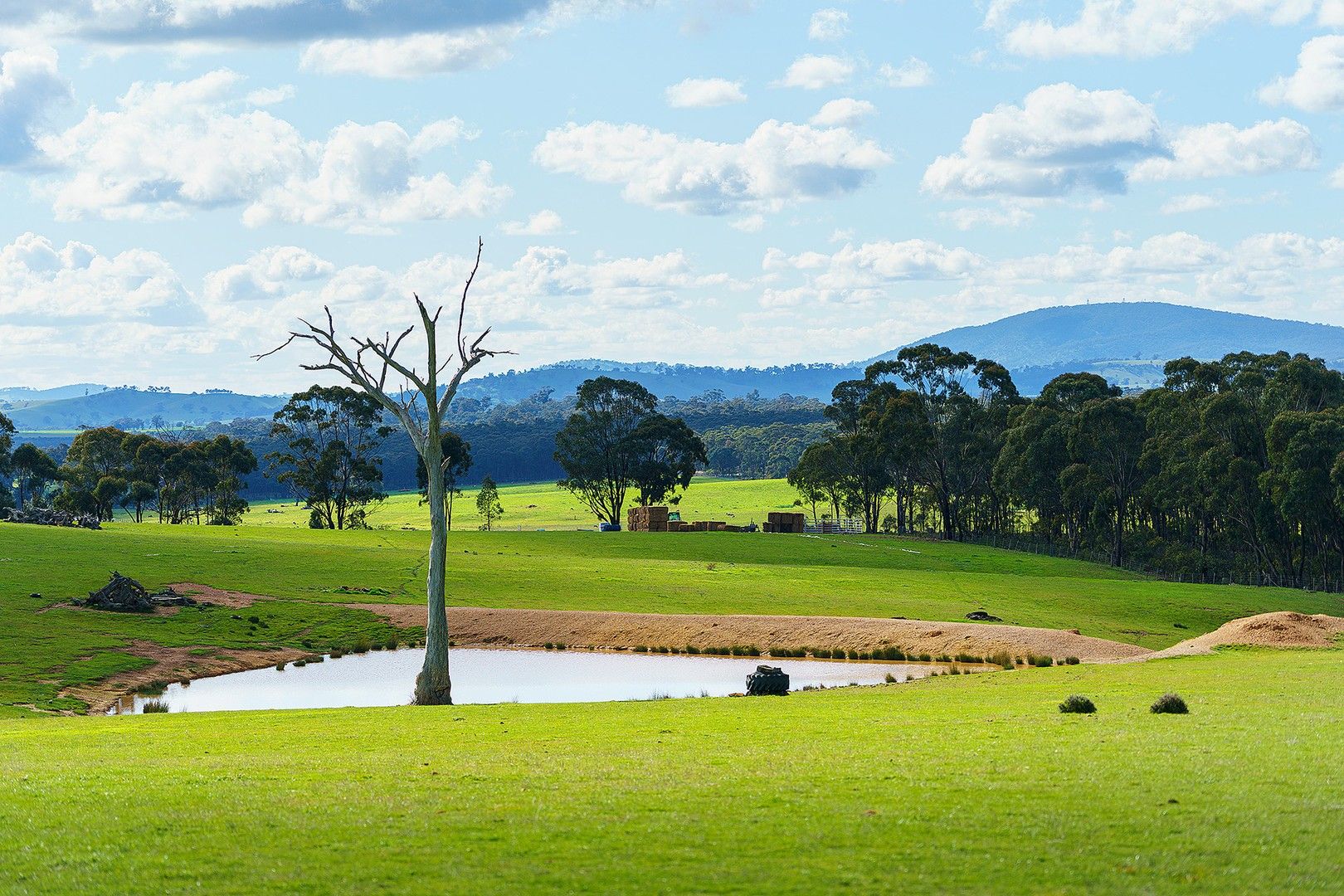 Lot 79 O'callaghans Road, Campbelltown VIC 3364 Vacant Land for Sale