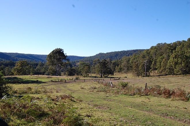 Picture of 2704 Upper Mongogarie Road, MONGOGARIE NSW 2470