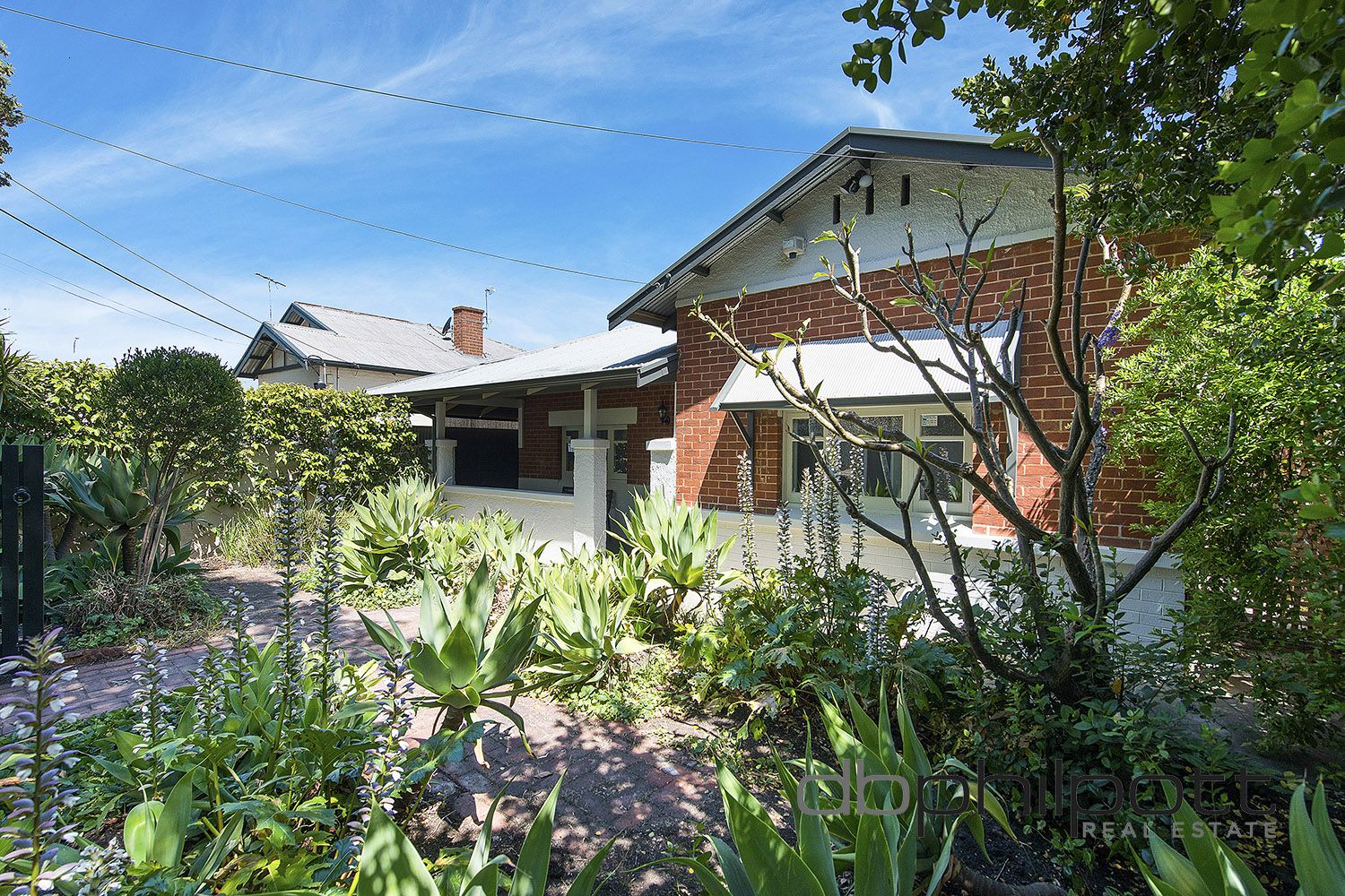 41 College Avenue, Prospect SA 5082, Image 1