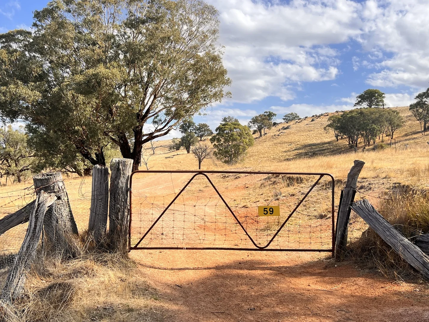 Additional image 21 of Lot 241 Hearn Street, Bigga NSW 2583