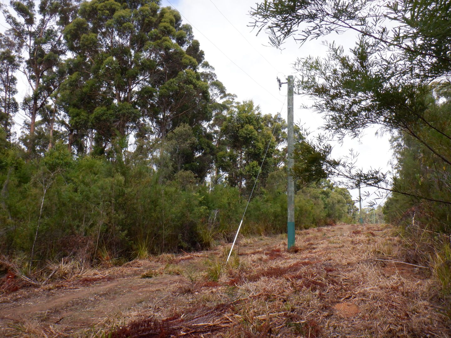 Lot 13041 cnr Moore & Preston Roads, Boorara Brook WA 6262, Image 2