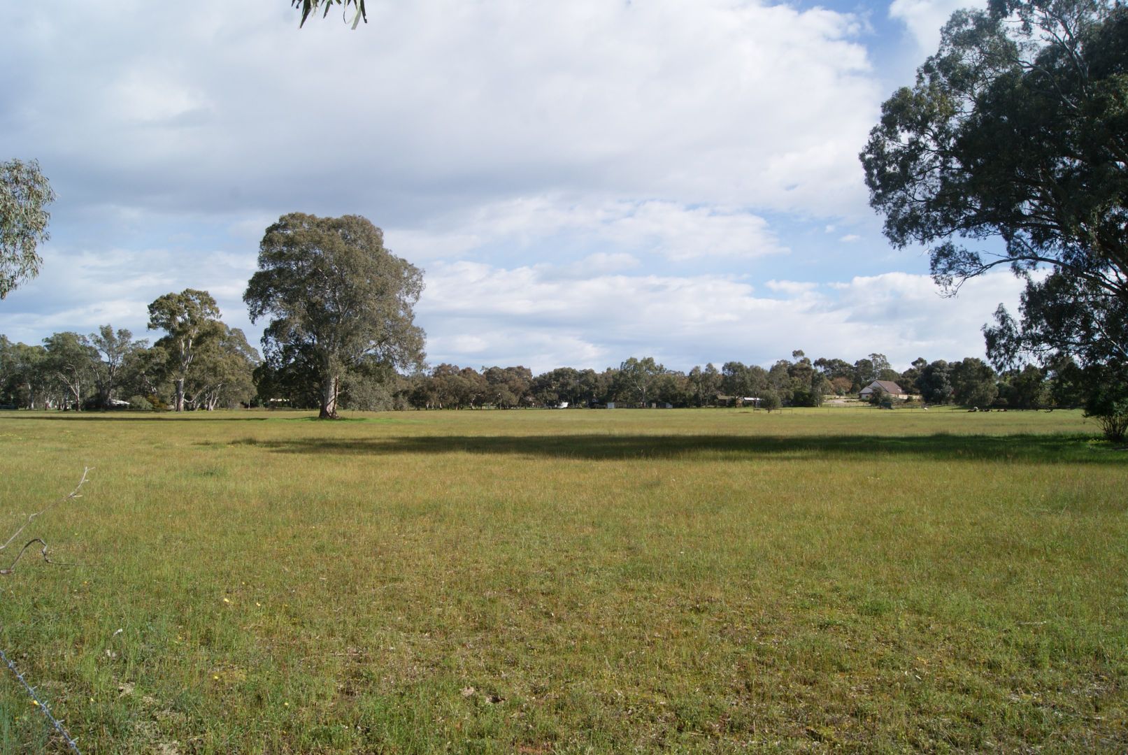 Lot 102 Williamstown Road, Cockatoo Valley SA 5351, Image 1