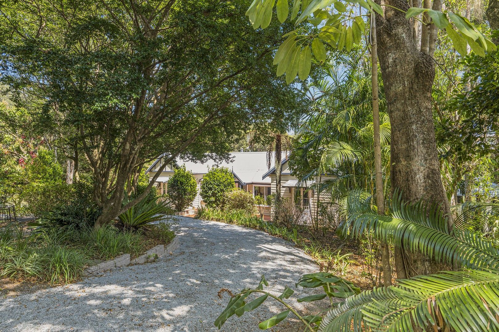 589 Stewart's River Road, Lorne NSW 2439, Image 0