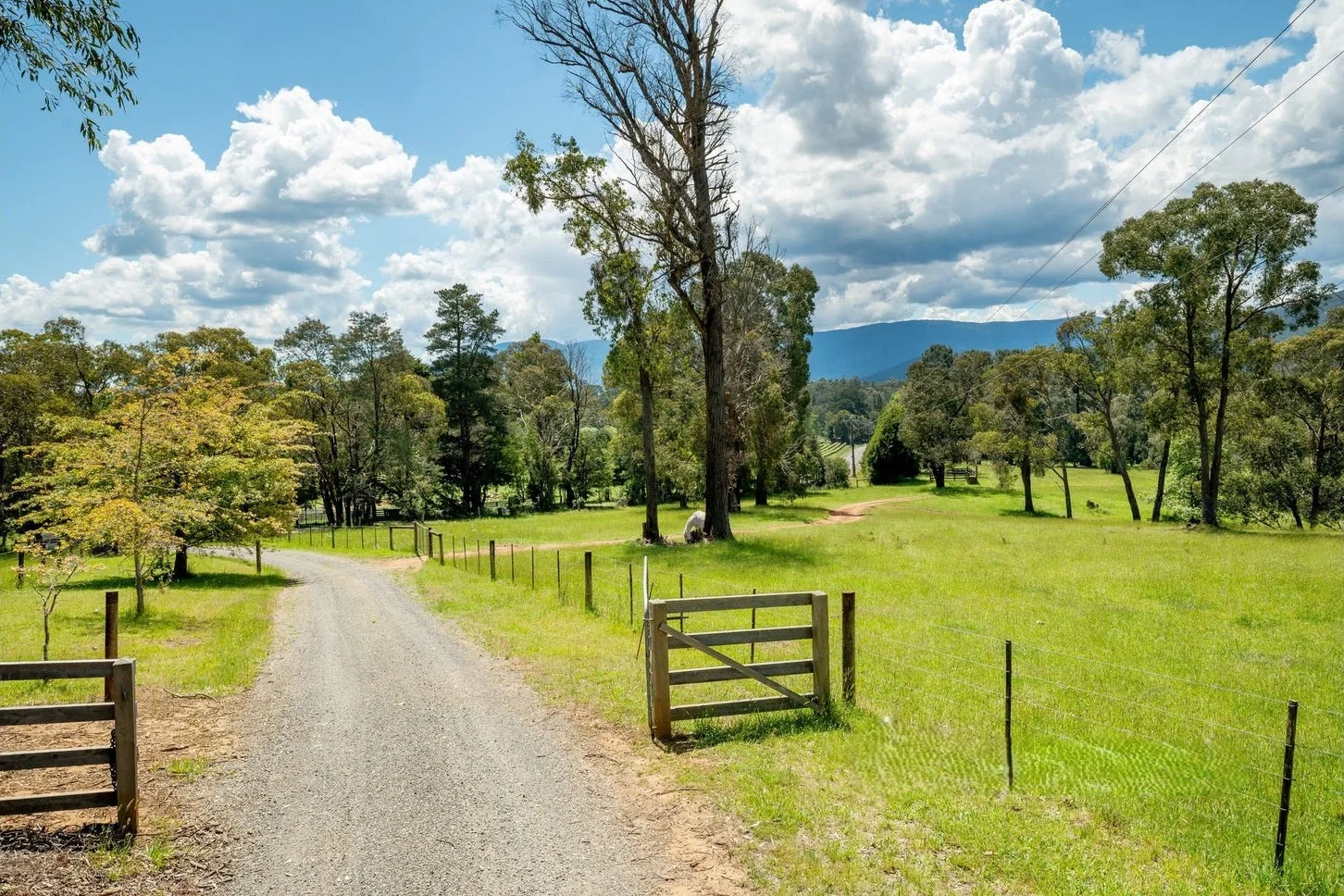 Additional image 22 of 155 Hazeldene Road, Gladysdale VIC 3797