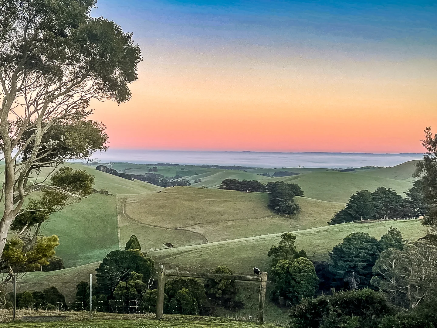 Additional image 20 of 65 Foster-Mirboo Road, Foster North VIC 3960