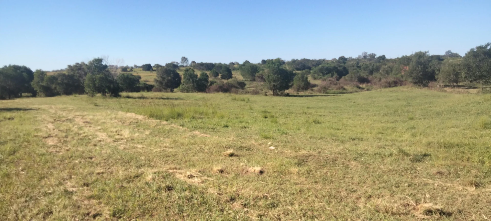 Additional image 16 of 808 Pine Creek Road, Givelda QLD 4670