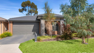 Picture of 8 Seacombe Grove, SOMERVILLE VIC 3912