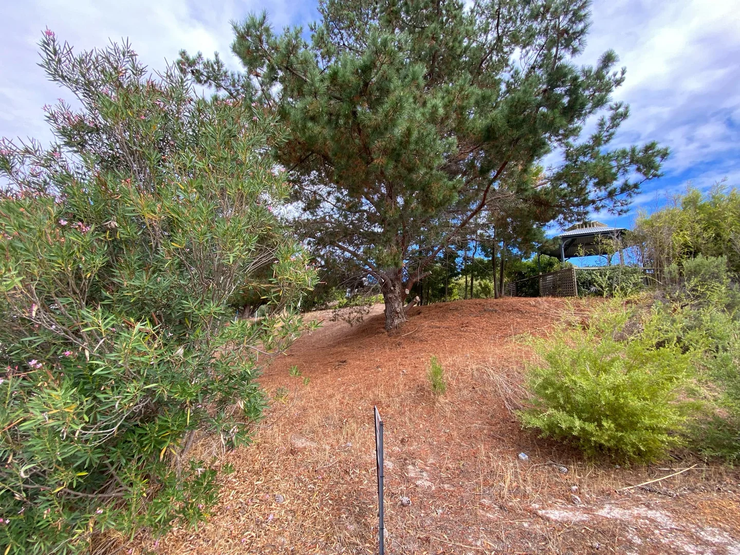 Image 10