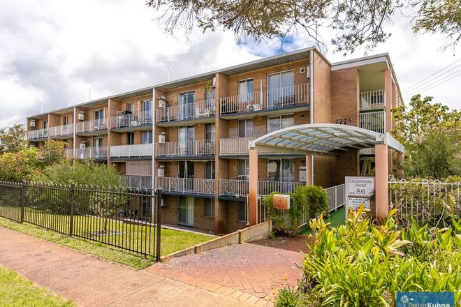 Picture of 33/86 Caledonian Avenue, MAYLANDS WA 6051