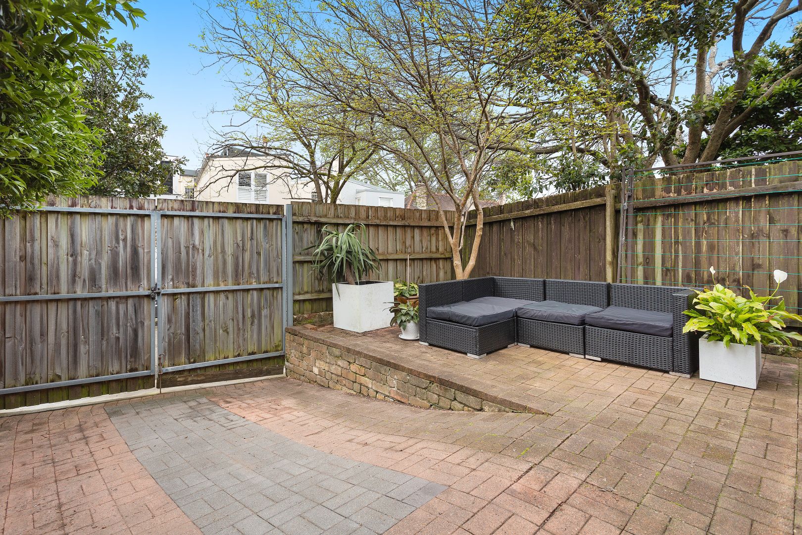 50 Adelaide Street, Woollahra NSW 2025, Image 1