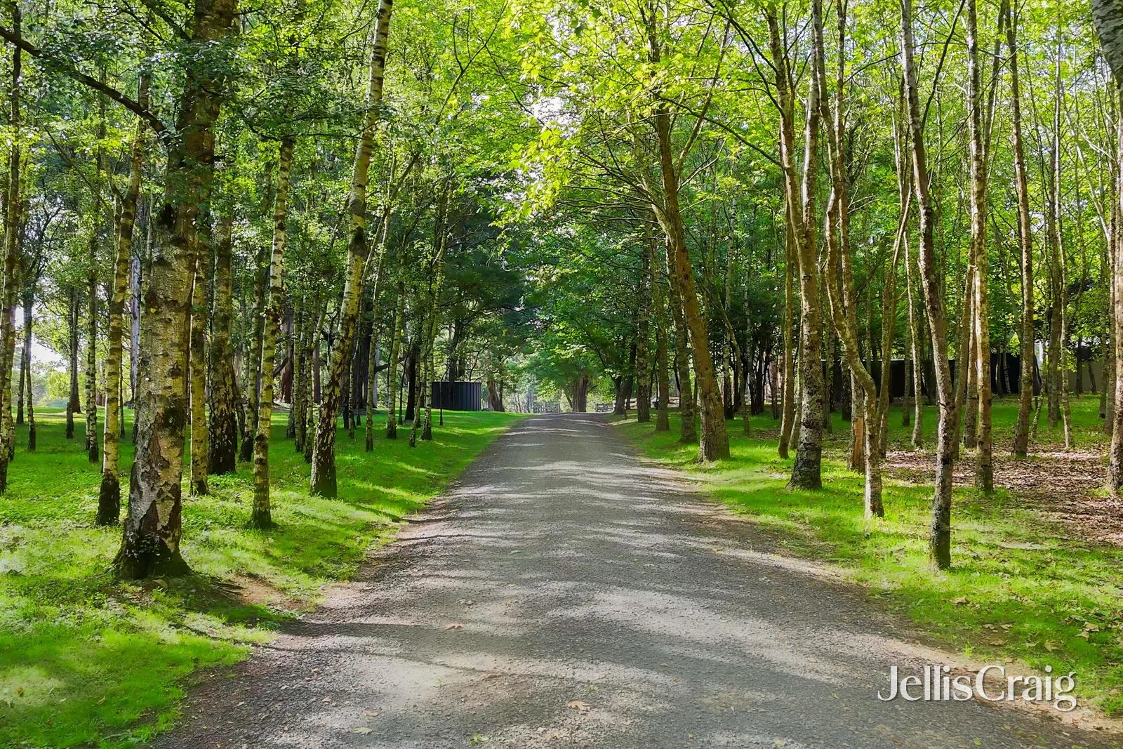 Additional image 22 of 645 Blackwood Road, Trentham VIC 3458