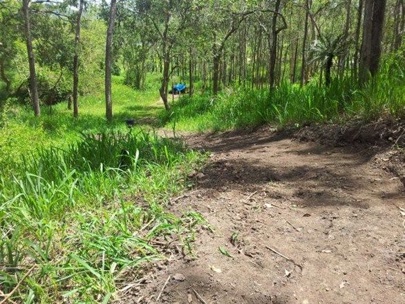 Lot 166 Woods Road, Dows Creek QLD 4754, Image 0