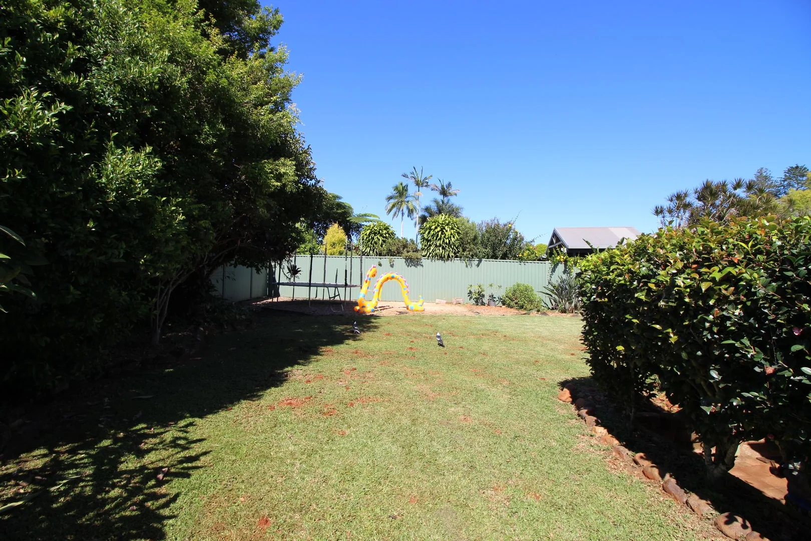 Additional image 8 of 50 Adele Street, Alstonville NSW 2477