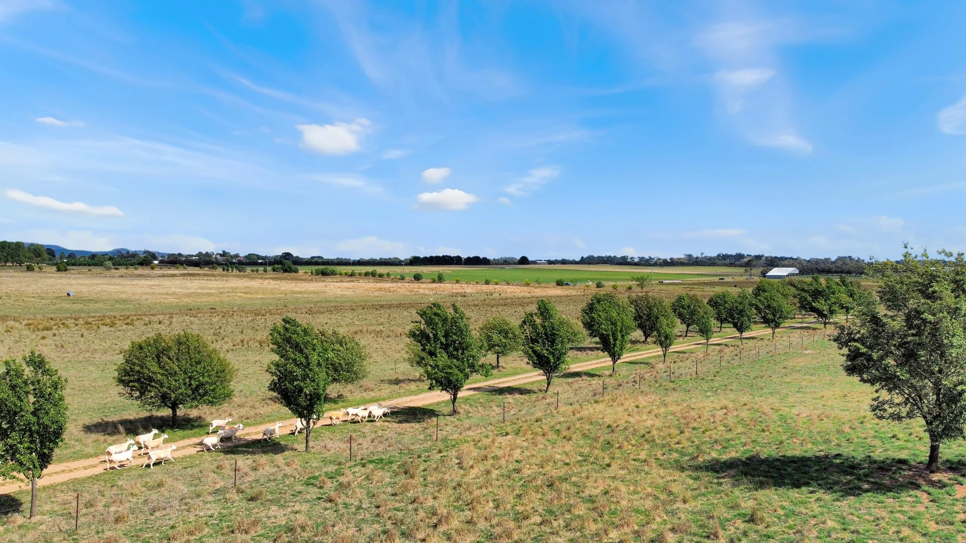 Additional image 29 of 75 Whiley Road, Spring Hill NSW 2800