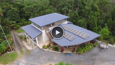 Picture of Lot 24 Forest Creek Road, DAINTREE QLD 4873