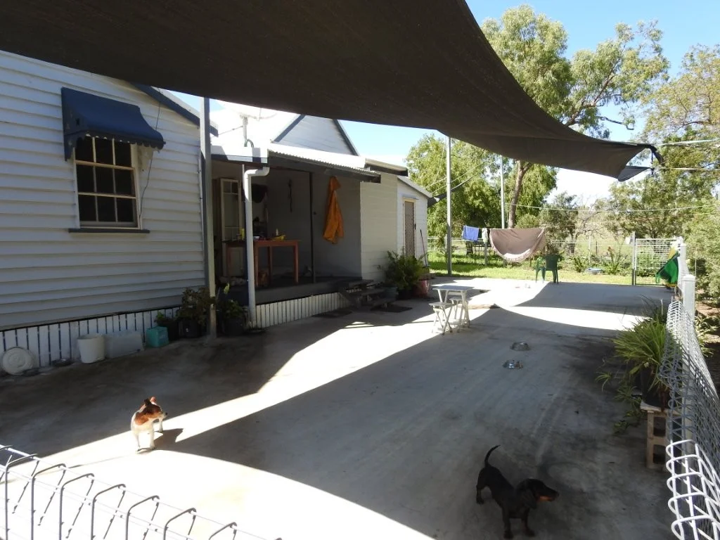 Image 6
