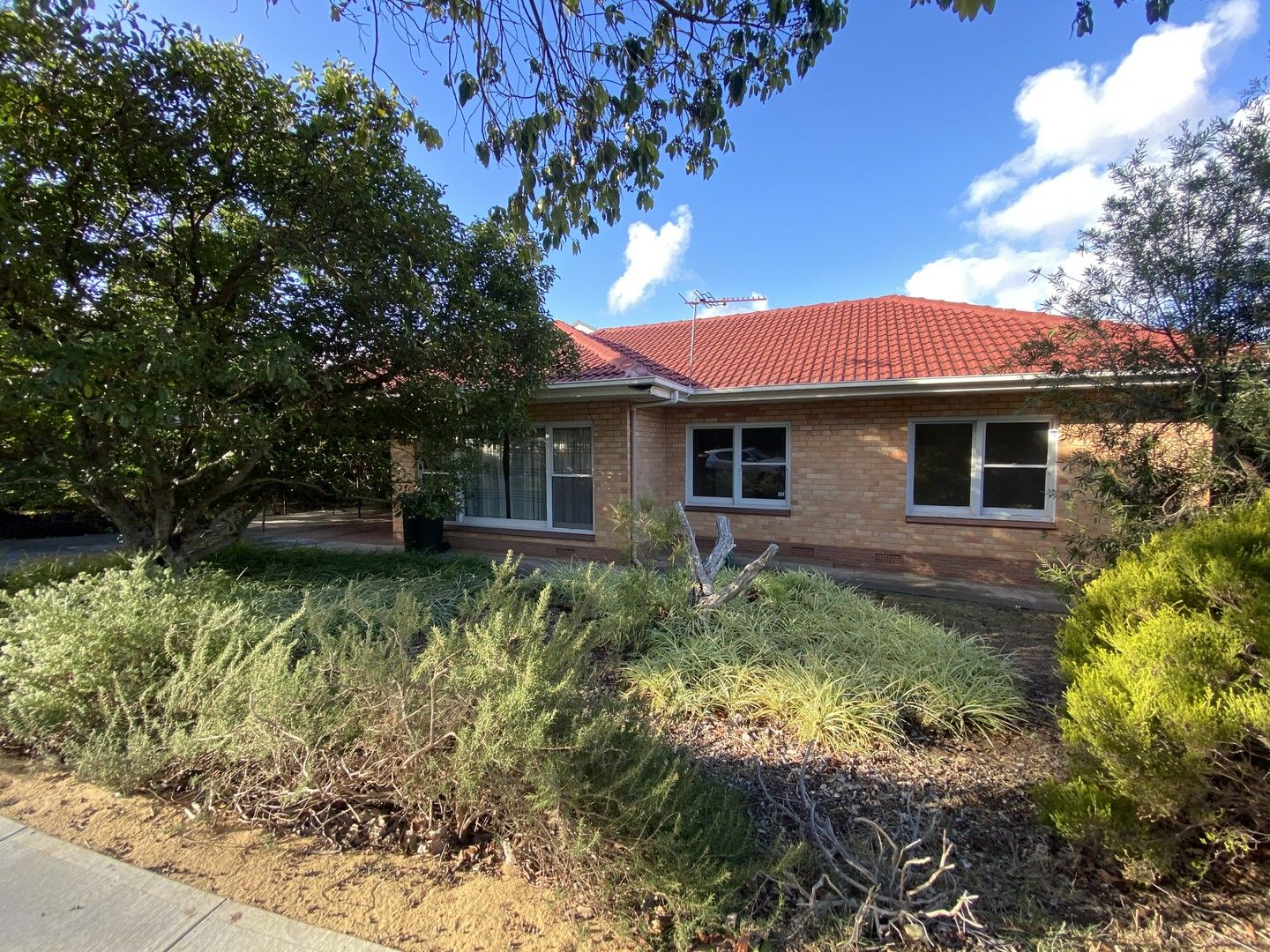 34 Fife Street, Klemzig SA 5087, Image 0