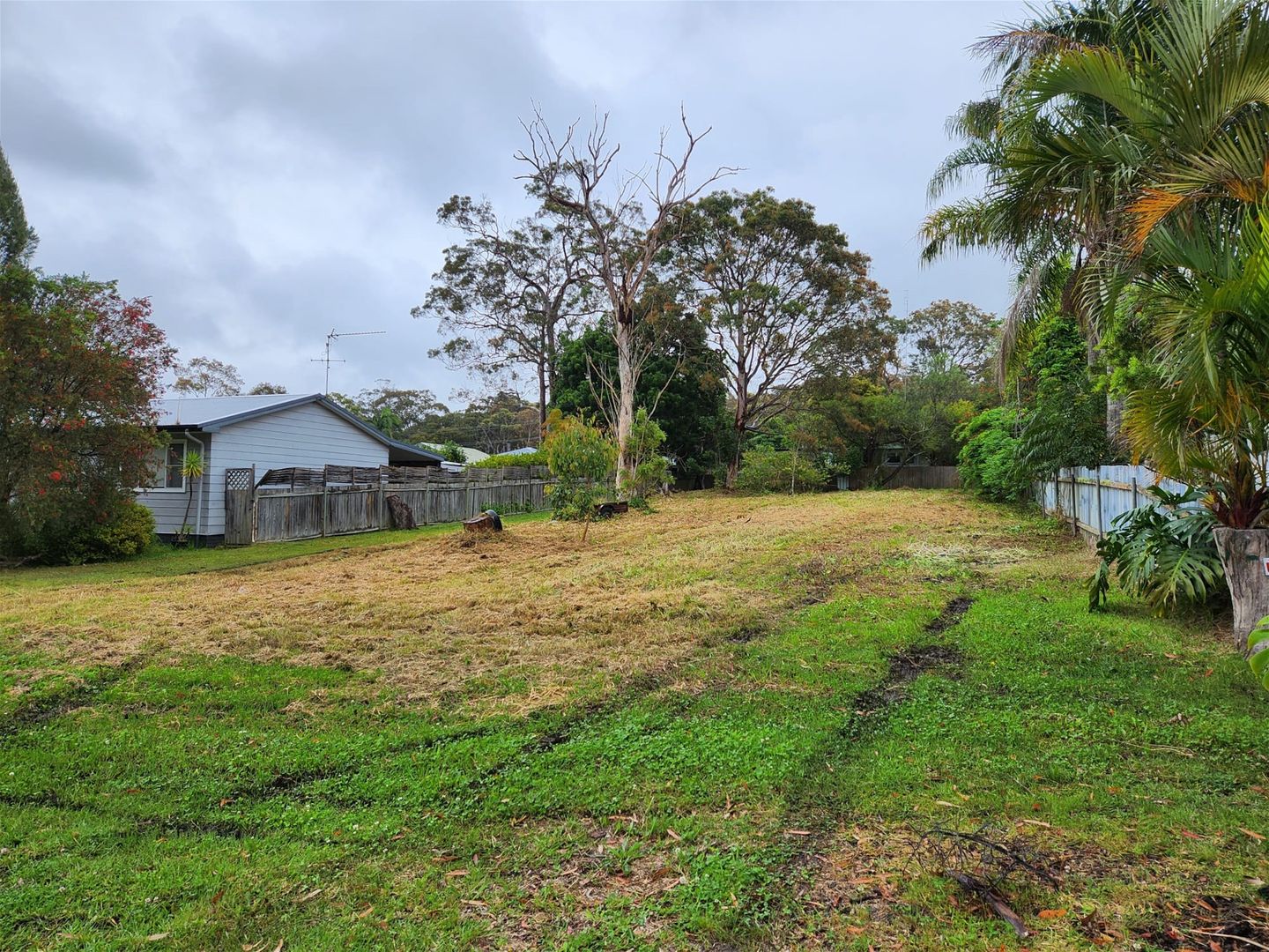 54 Rosemary Row, Rathmines NSW 2283 Domain