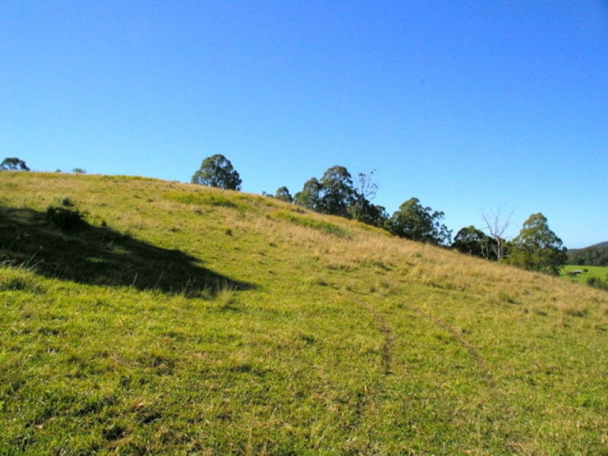 Lot 2 Oxley Highway, Long Flat NSW 2446, Image 1