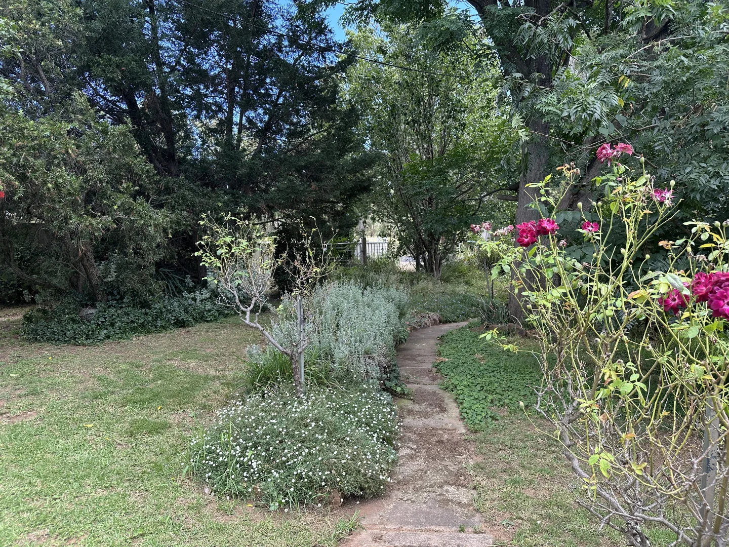 Image 29