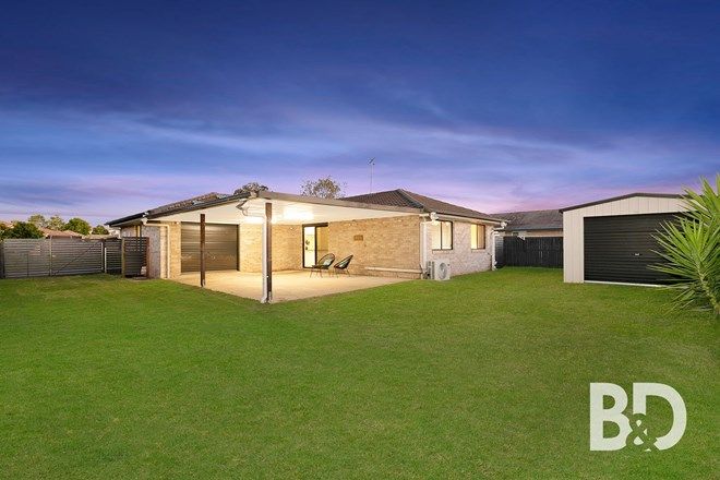 Picture of 38 Daintree Street, BELLMERE QLD 4510