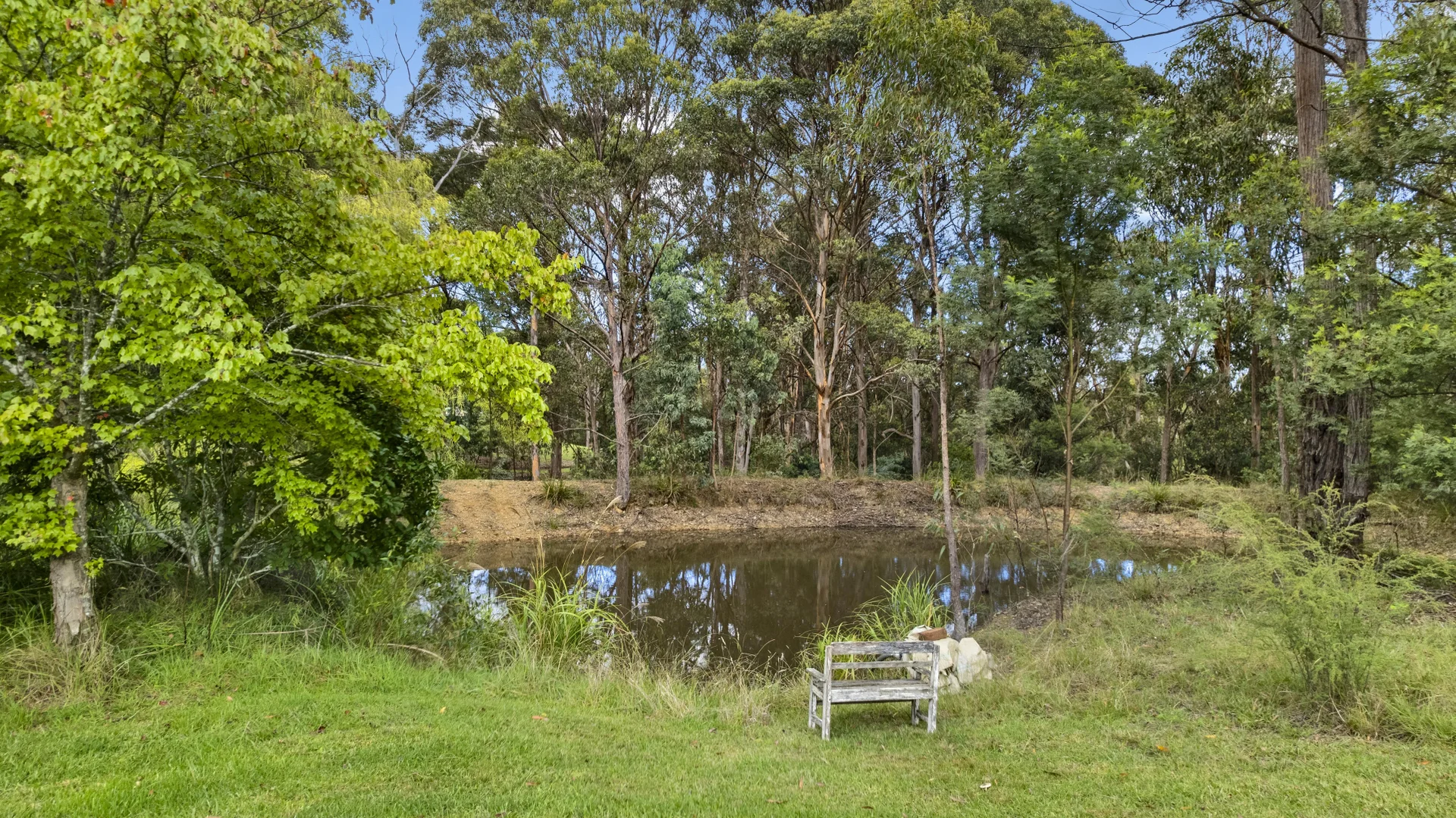 Image 15