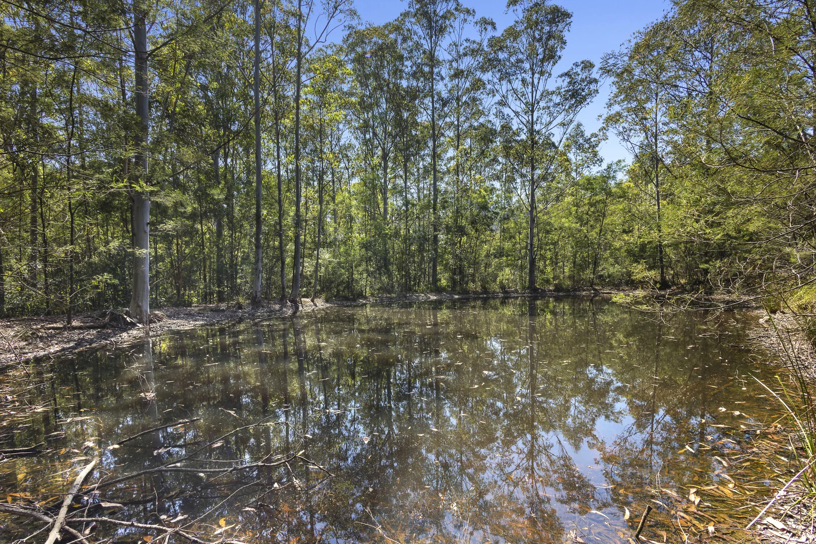 Additional image 18 of 723 Dees Road, Belbora NSW 2422