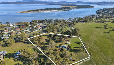 Picture of 439 Old Forcett Road, DODGES FERRY TAS 7173