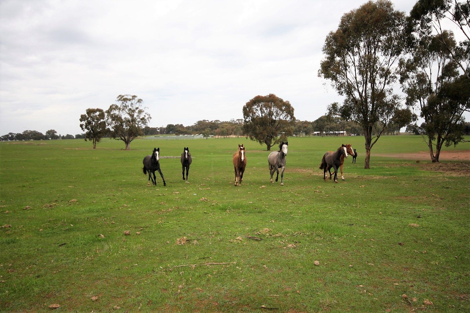 CA21 & 22 Heathcote-Rochester Road, Bonn VIC 3561, Image 0