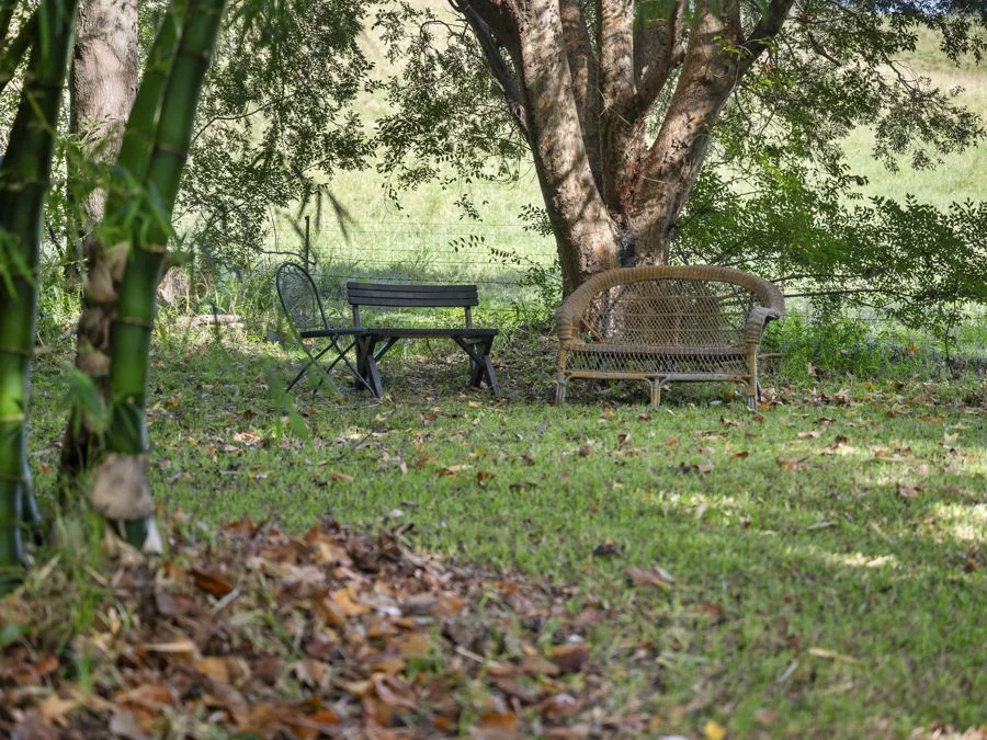 Additional image 15 of 210 Fridays Creek Road, Upper Orara NSW 2450