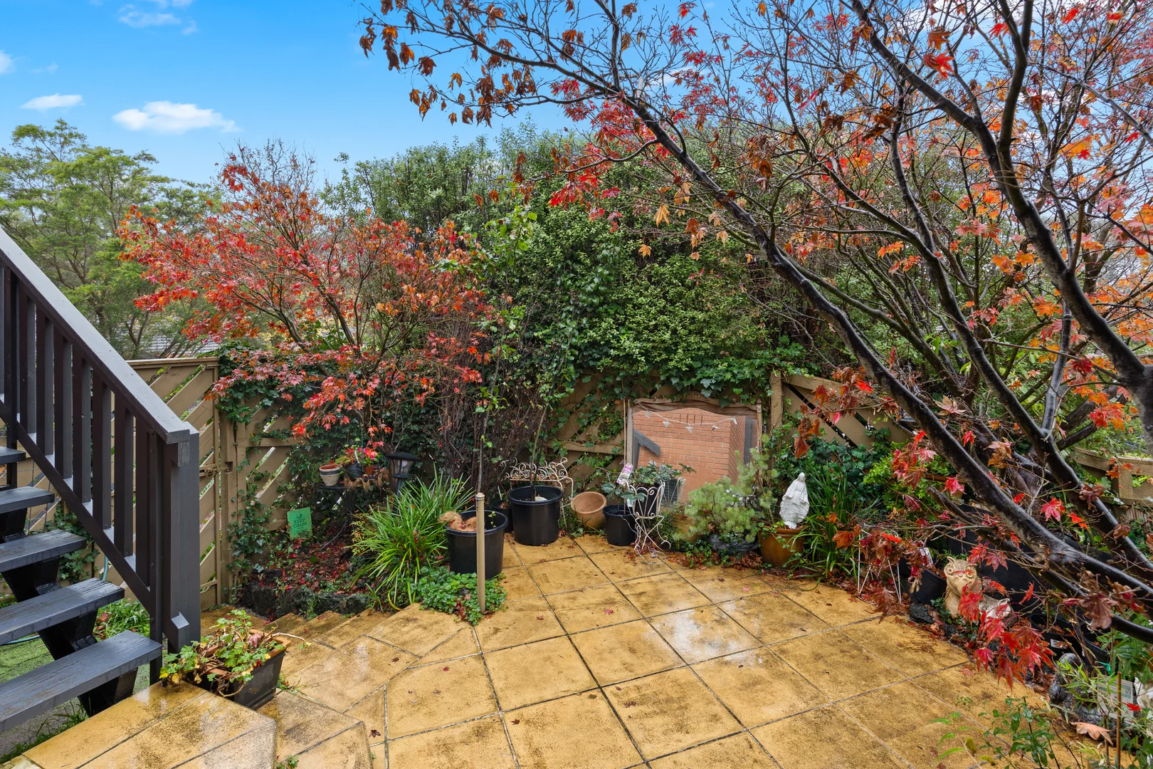 Image 12